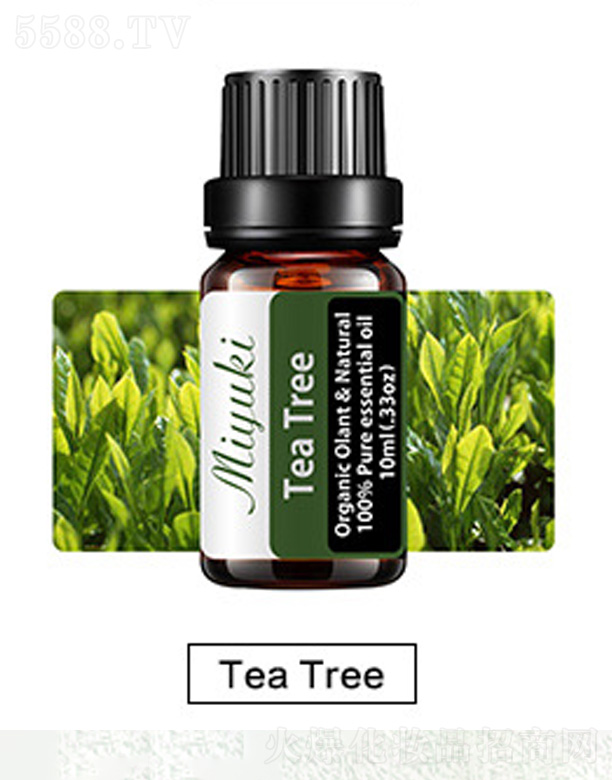 V׋IƼ޹˾ow޹Ħ-Tea Tree