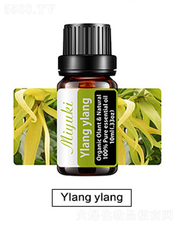 V׋IƼ޹˾ow޹Ħ-Ylang ylangm