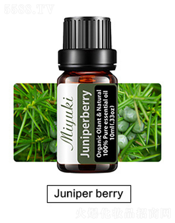 V׋IƼ޹˾ow޹Ħ-Juniper berry