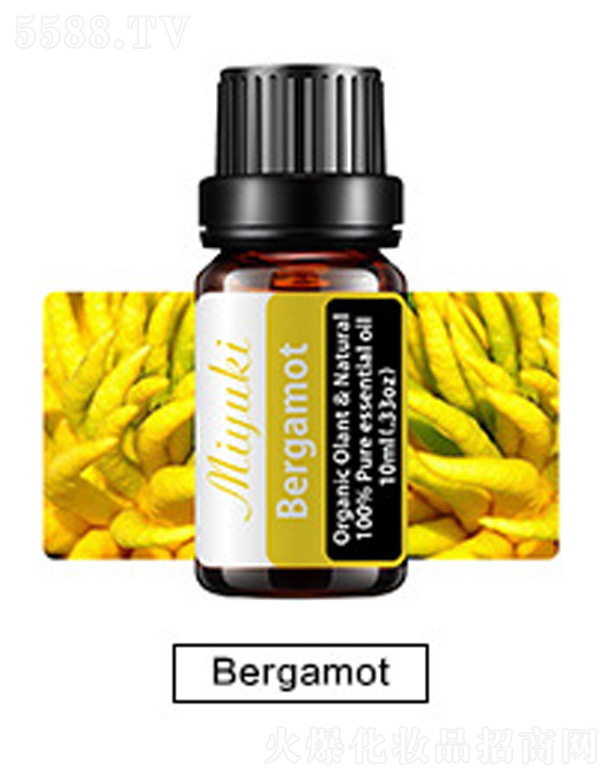 V׋IƼ޹˾ow޹Ħ-Bergamotָ